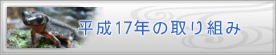 ����17�N�̎��g��