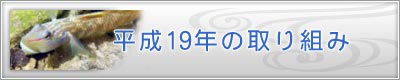 ����19�N�̎��g��
