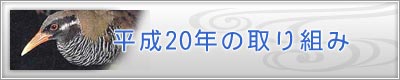 ����20�N�̎��g��