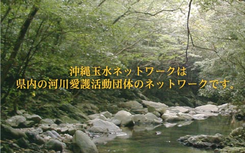 ����ʐ��l�b�g���[�N�͌����̉͐숤�슈���c�̂̃l�b�g���[�N�ł��B