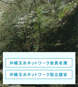 �ʐ��l�b�g���[�N�̊������e

